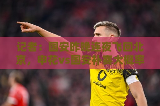 记者：国安昨晚连夜飞回北京，申花vs国安补赛大概率8月18日进行