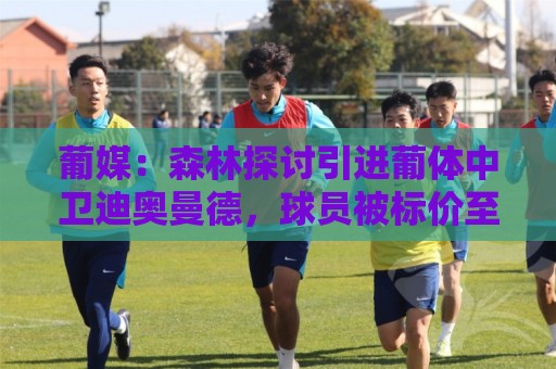 葡媒:森林探讨引进葡体中卫迪奥曼德,球员被标价至少5000万欧 葡媒:森林探讨引进葡体中卫迪奥曼德,球员被标价至少5000万欧