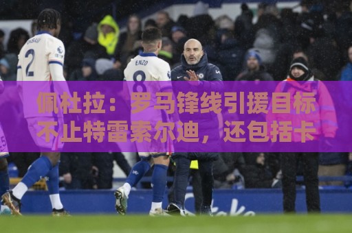 佩杜拉:罗马锋线引援目标不止特雷索尔迪,还包括卡斯特罗等人 佩杜拉:罗马锋线引援目标不止特雷索尔迪,还包括卡斯特罗等人