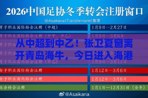 从中超到中乙!张卫夏窗离开青岛海牛,今日进入海港B队替补名单 从中超到中乙!张卫夏窗离开青岛海牛,今日进入海港B队替补名单