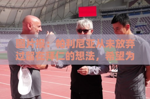 图片报:帕利尼亚从未放弃过留在拜仁的想法,希望为位置而战 图片报:帕利尼亚从未放弃过留在拜仁的想法,希望为位置而战
