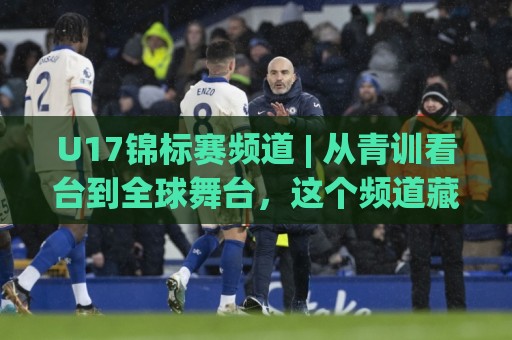 U17锦标赛频道 | 从青训看台到全球舞台，这个频道藏着多少宝藏？U17锦标赛频道带你读懂少年足球的另一种打开方式🌴最大权威网页娱乐网代理1080P官网无插件低调看冠军
