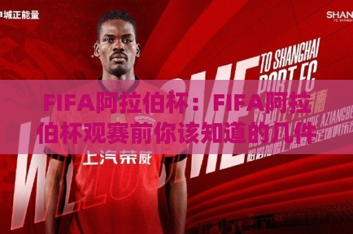 FIFA阿拉伯杯：FIFA阿拉伯杯观赛前你该知道的几件事 | 从赛制到举办地一次看懂【FIFA阿拉伯杯】🌴今晚靠谱最火下球网观看解说让球盘高清技巧预选