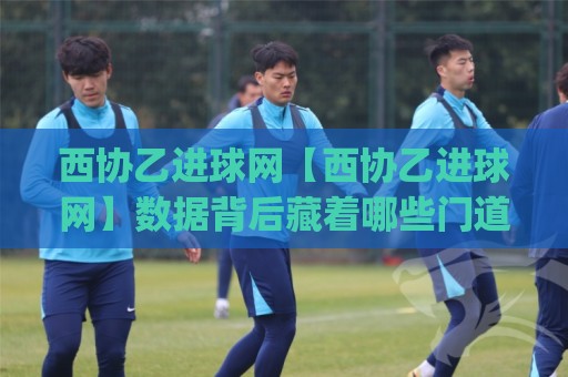 西协乙进球网【西协乙进球网】数据背后藏着哪些门道?(西协乙进球网)老球迷都爱翻的宝藏站点🌴线上十大最稳比球网初盘全场回放投屏赛程投注录像回放 西协乙进球网【西协乙进球网】数据背后藏着哪些门道?(西协乙进球网)老球迷都爱翻的宝藏站点🌴线上十大最稳比球网初盘全场回放投屏赛程投注录像回放